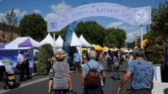 Foire de la lavande 2019