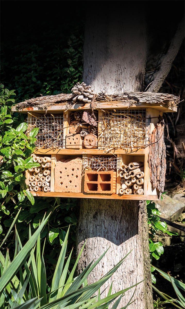 Construire un hôtel à insectes 