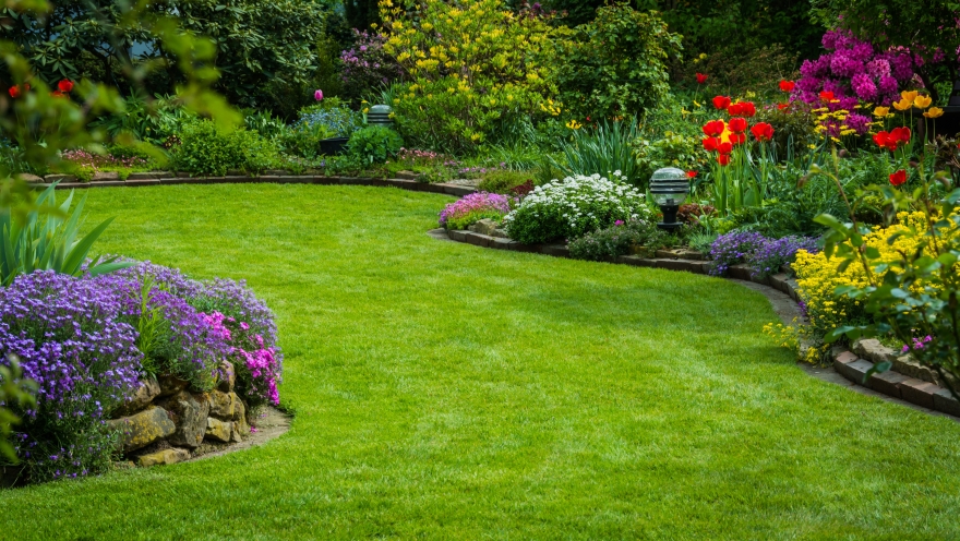 Comment avoir un beau jardin pour cet été ? 5 conseils pour ne pas vous planter.