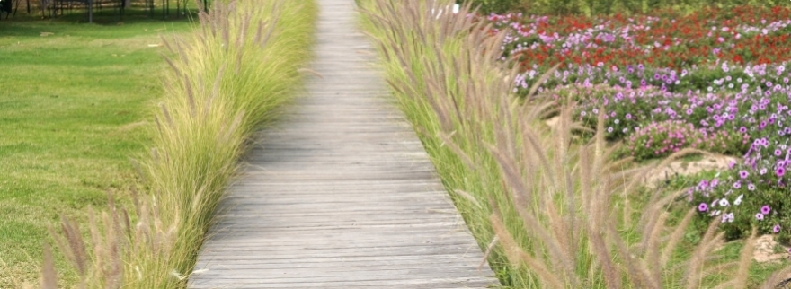 Le jardin provençal et son charme