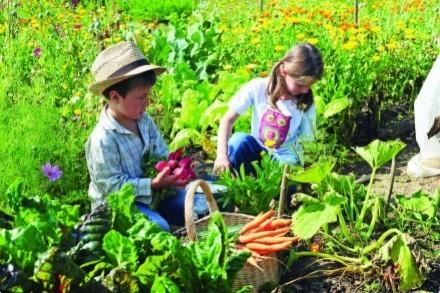 Le jardin rend heureux!