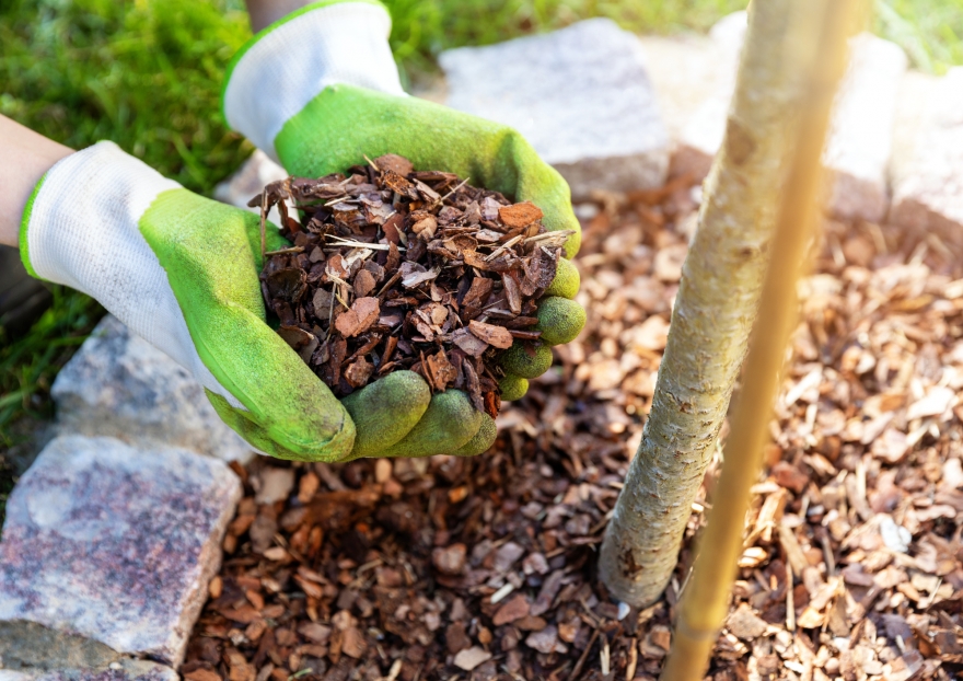 Comment Protéger vos extérieurs pour l'Hiver ?