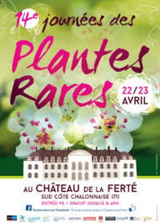 Foire aux plantes rares au Château de la Ferté